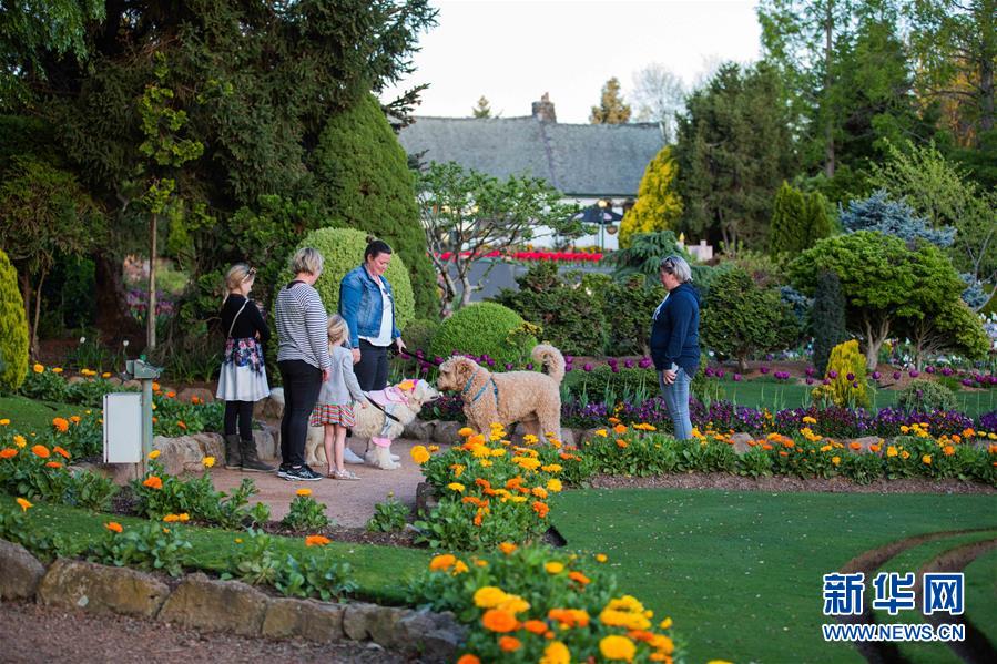 (XHDW·圖文互動(dòng))(3)通訊:“無(wú)處不在的鮮花為我們帶來(lái)歡樂(lè)和希望”——“小人國(guó)”里的堪培拉花展