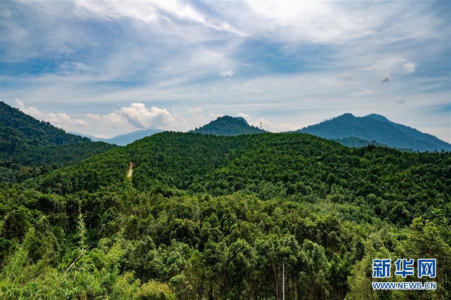 (第三屆進(jìn)博會(huì)·圖文互動(dòng))(2)專訪:進(jìn)博會(huì)提供了一個(gè)共享中國發(fā)展機(jī)遇的平臺(tái)