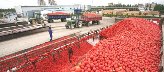 中國推動(dòng)構(gòu)建共贏、互信、發(fā)展的新絲綢之路