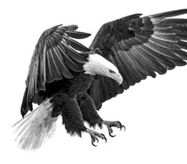 誰是世界秩序的真正破壞者？