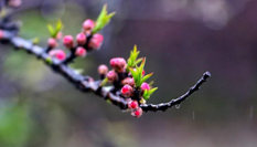 隨心而行，走走停停始終精彩。
