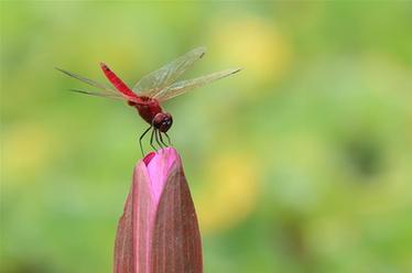 2019，精&ldquo;彩&rdquo;紛呈