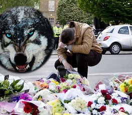 血案頻發(fā) "獨(dú)狼"緣何兇猛？